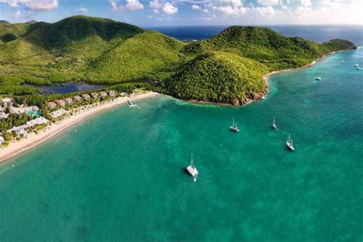 How to Say What's Up in Caribbean: A Guide to Caribbean Greetings