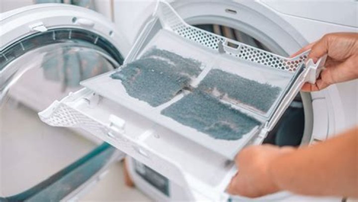 I Forgot to Clean the Lint Basket: Understanding the Importance of Lint Maintenance