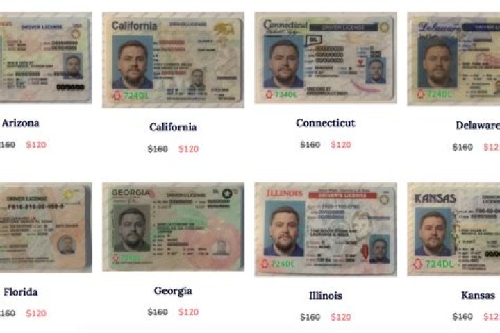 I Need a Fake License Number: Understanding the Risks and Alternatives