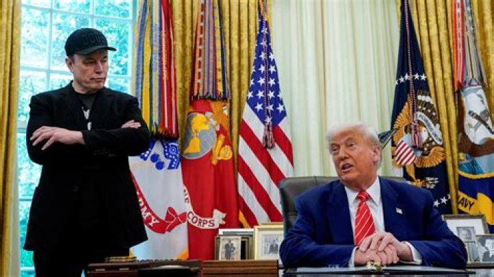 Impact of Musk-Trump Dynamics: A GOP Pollster's Perspective