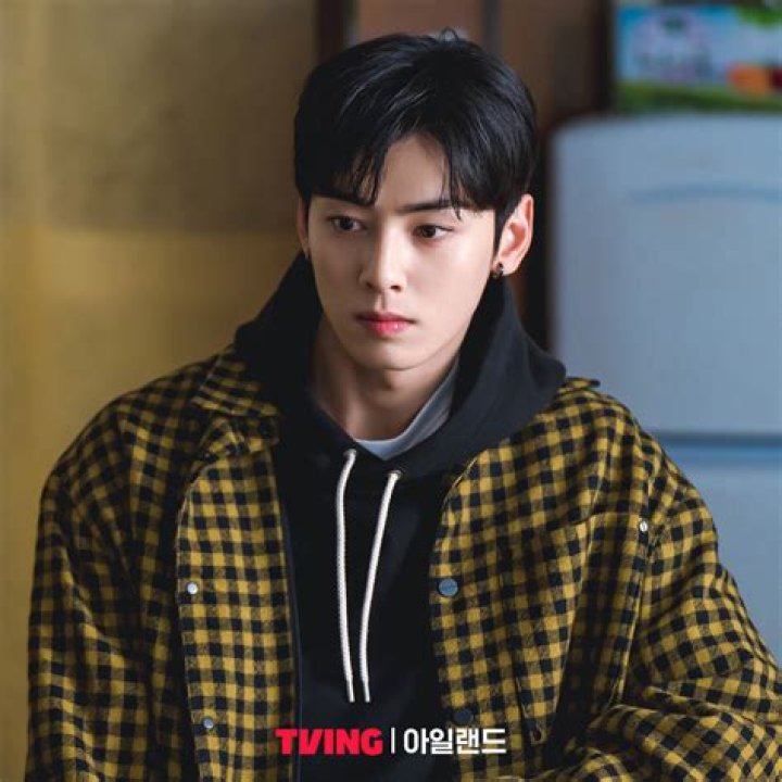 Insights into Cha Eun Woo's Family: A Closer Look at His Real Parents
