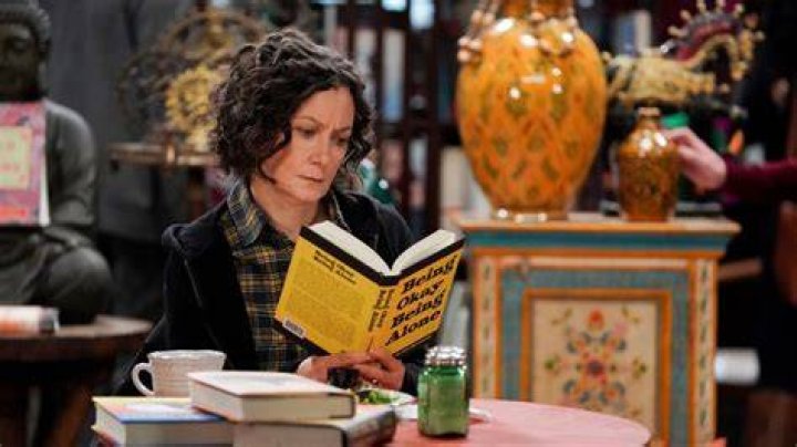 Insights into Sara Gilbert Net Worth: From Hollywood Stardom to Financial Success