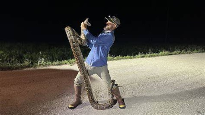 Insights on Python Cowboy Net Worth: The Financial Journey