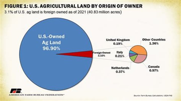 Is Dollar General American-Owned or Foreign? [Unveiled]