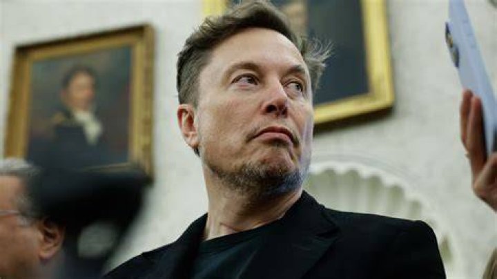 Is Elon Musk's Bachelorhood a Red Flag?