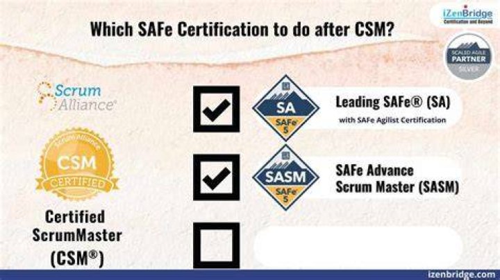 Is Gamseal Safe? A Comprehensive Review