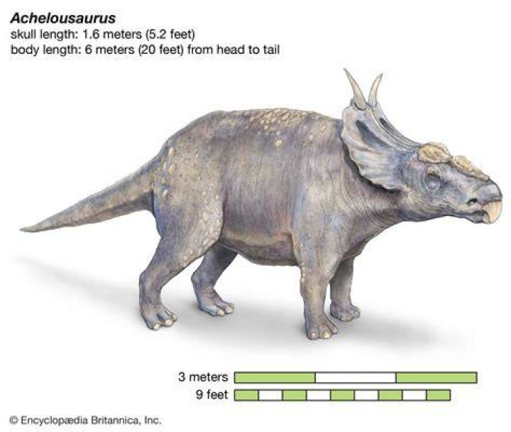 Jack Horner: The Renowned Paleontologist Who Changed Our Understanding of Dinosaurs