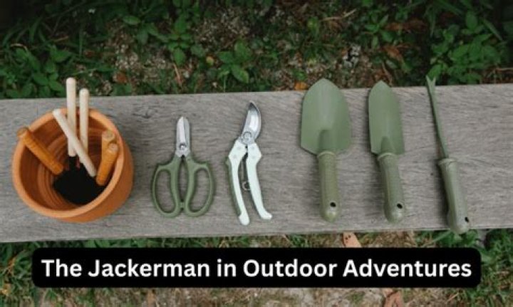 Jackerman New Videos: The Ultimate Guide to His Latest Content