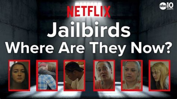 Jailbirds: Where Are They Now? - Updates and Insights