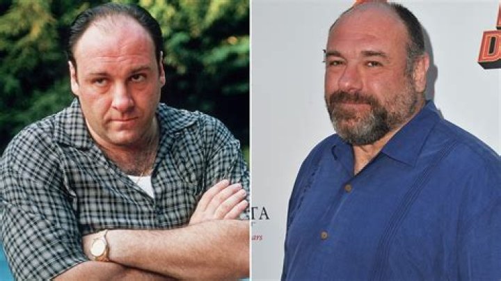 James Gandolfini: The Struggles with Alcohol and Its Impact on His Life