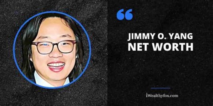 Jimmy O. Yang Net Worth: A Deep Dive into the Comedian's Wealth