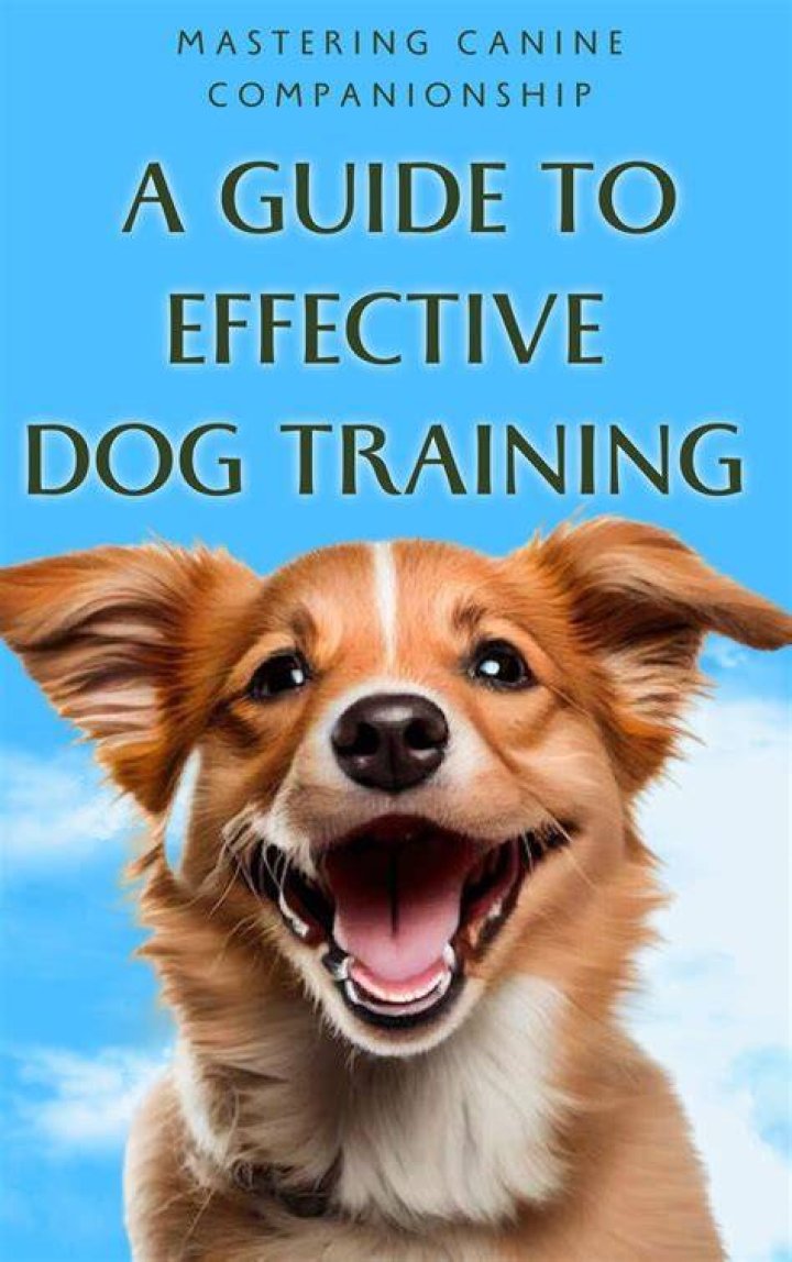 K9Lady: The Ultimate Guide to Canine Companionship