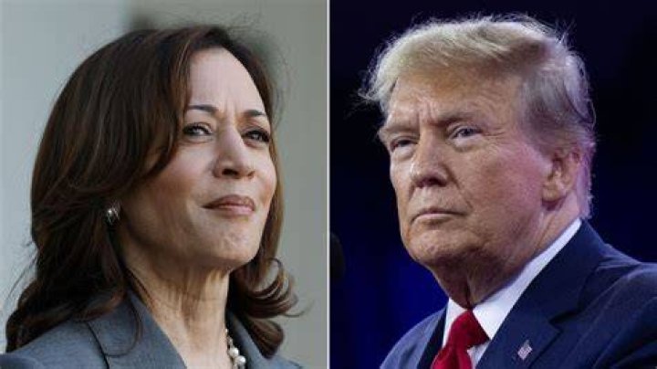 Kamala Harris vs. Trump: Analyzing Polling Trends and Implications