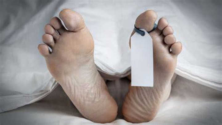 Lacey Fletcher Autopsy Photo: A Comprehensive Analysis