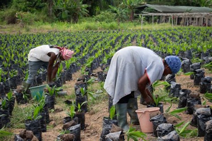 Land Pride: Nurturing the Heart of Agriculture