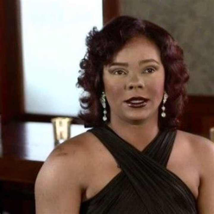 Lark Voorhies: The Journey of a Talented Actress