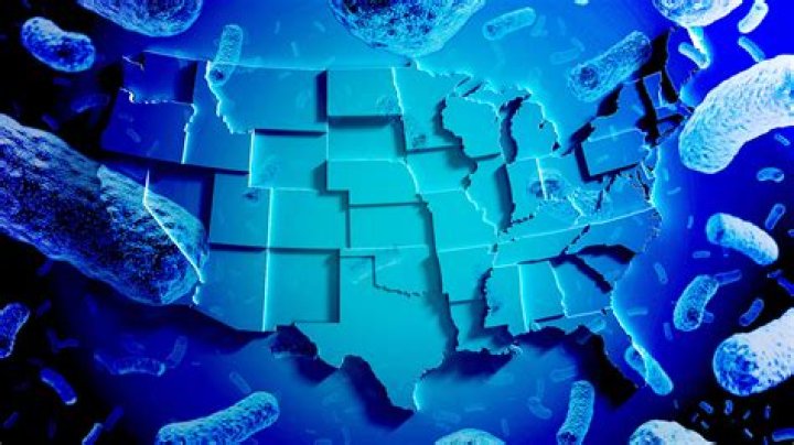 Listeria Outbreak Brands 2024: What You Need to Know