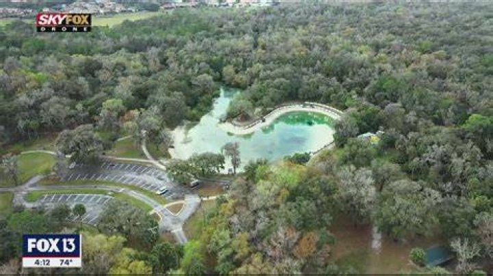 Lithia Springs: A Hidden Gem of Natural Wonders