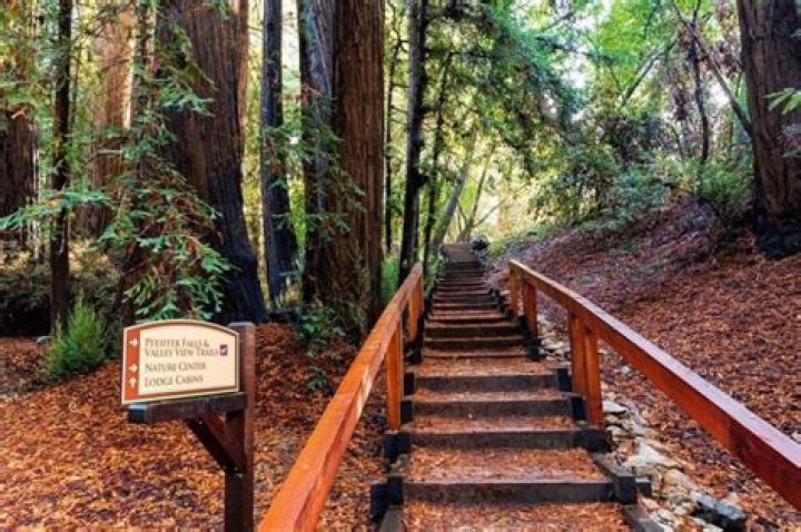 Massey Big Sur Park: A Comprehensive Guide to Exploring Nature's Paradise