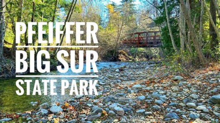 Massey Big Sur Park: A Hidden Gem in Nature's Wonderland