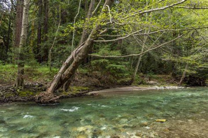 Massey Big Sur State Park: A Comprehensive Guide to Nature's Gem