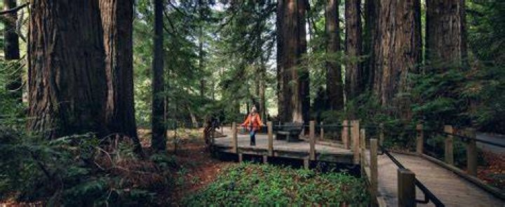 Massey Big Sur State Park Location: A Comprehensive Guide