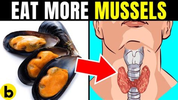 Mastering the Art of Eating Mussels