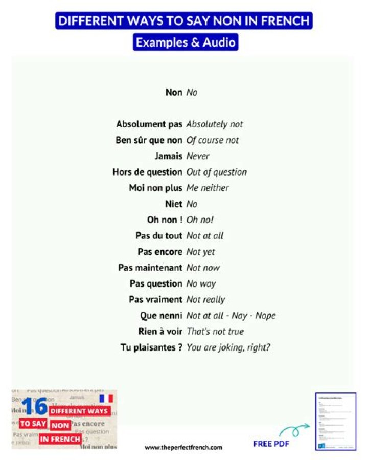 Mastering the Art of Refusal: How to Say No in French