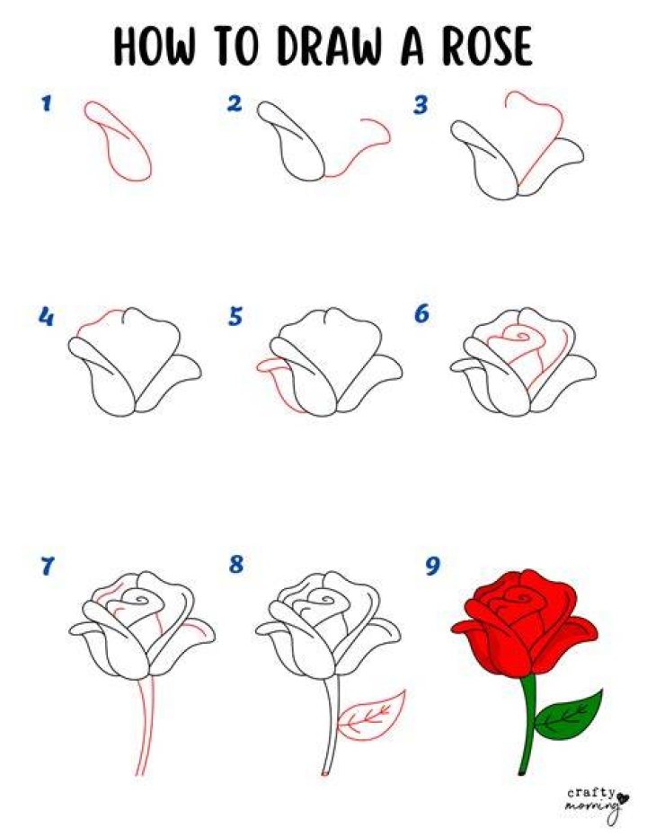 Mastering the Art of Rose Drawings: Techniques, Tips, and Inspiration