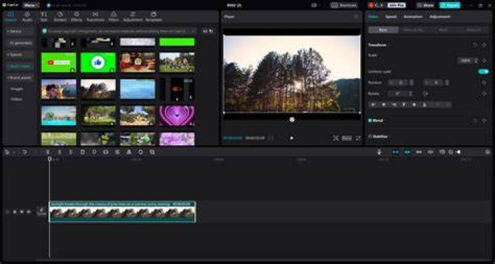 Mastering the Art of Video Trimming: A Comprehensive Guide