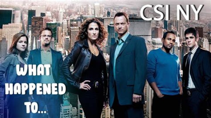 Meet the Skilled Ensemble: Cast of CSI: NY