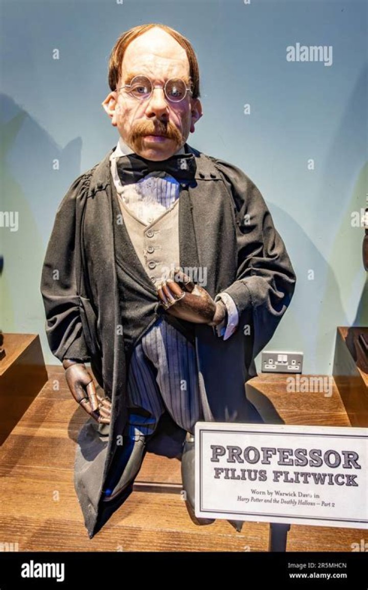 Meet the Talented Actor Behind Filius Flitwick