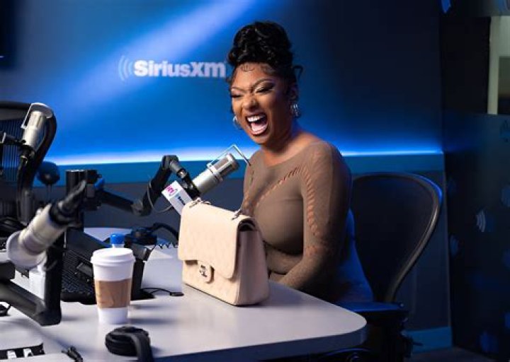 Megan Thee Stallion: The Rise of a Hip-Hop Icon