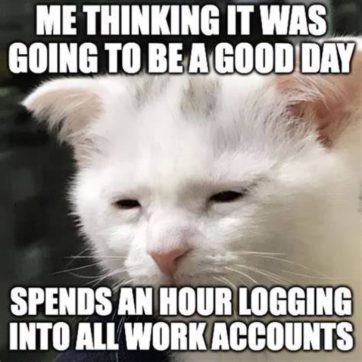 Meme of the Day: The Internet's Daily Dose of Laughter