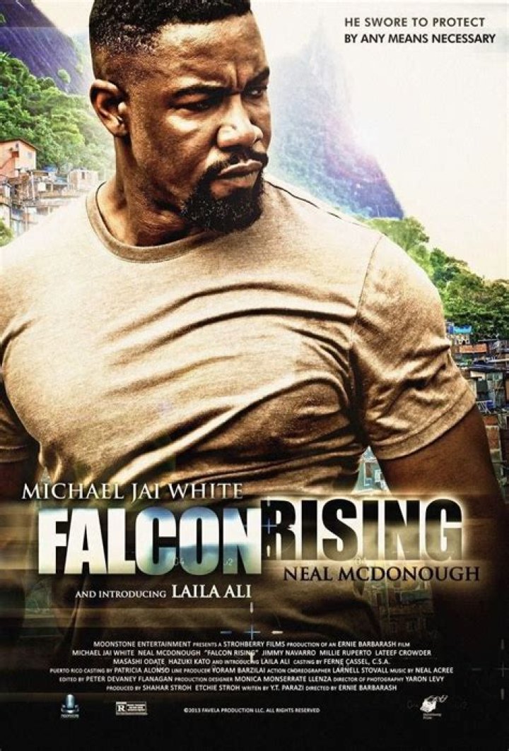 Michael Jai White 2008: A Defining Year for a Martial Arts Icon