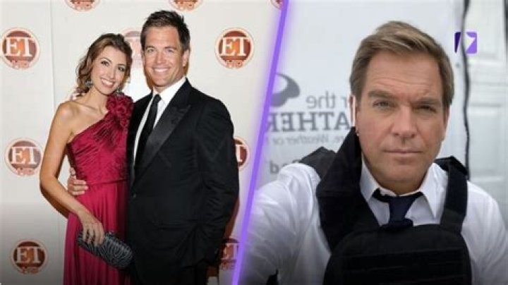 Michael Weatherly: Net Worth, Career, and Personal Life