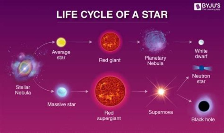 Mischa Barton Horoscope: Insights into the Astrological Journey of a Star