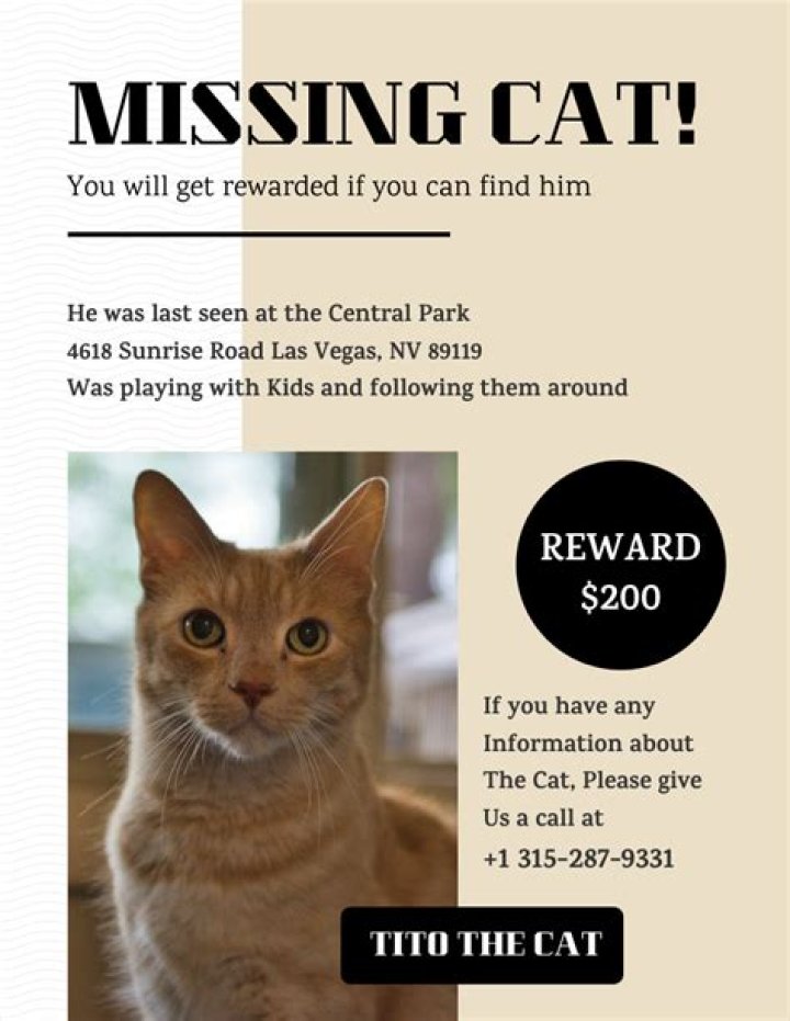 Missing Cats in Yellowstone: A Growing Concern for Pet Owners