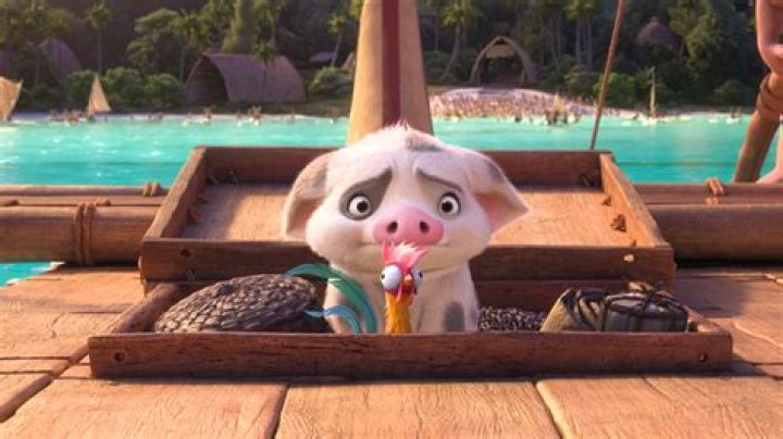 Moana Chicken: The Fascinating Journey of a Beloved Character