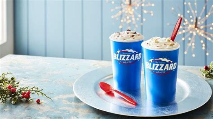 Monthly Delight: Dairy Queen Blizzard of the Month