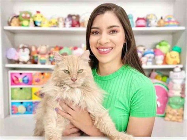 Moriah Elizabeth Net Worth: A Deep Dive into the Creative YouTuber's Success