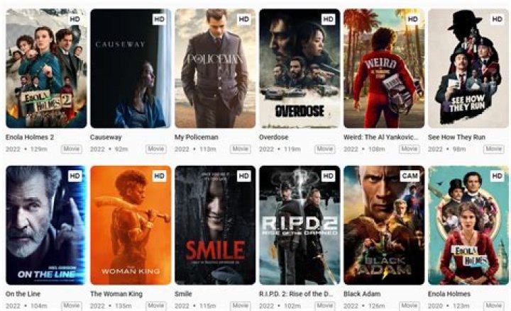 Moviesflix 300: The Ultimate Guide to Streaming and Downloading Movies