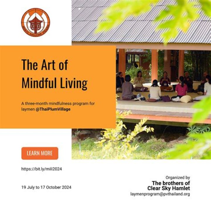 Mydasi: The Art of Mindful Living and Its Impact on Well-being