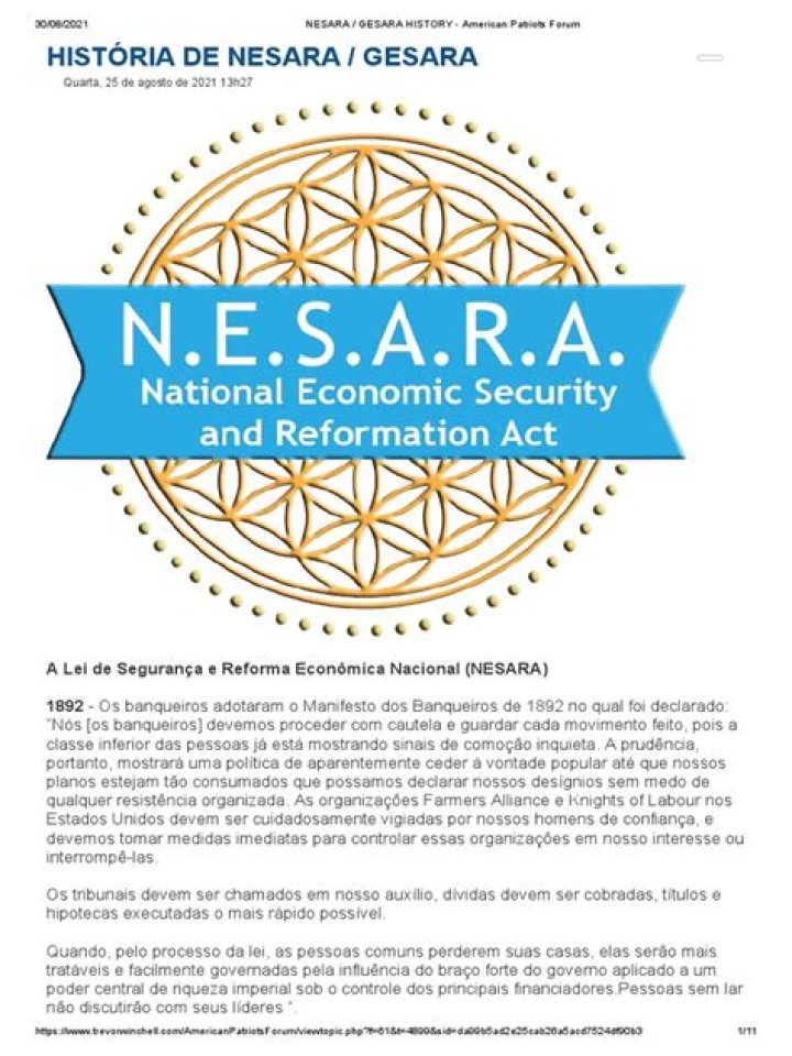 Nesara Summary: Understanding the Economic Reform Proposal