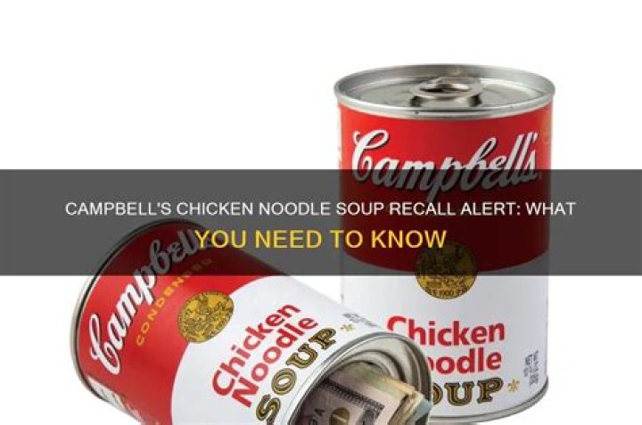 Noodle Recall June 2024: What You Need to Know