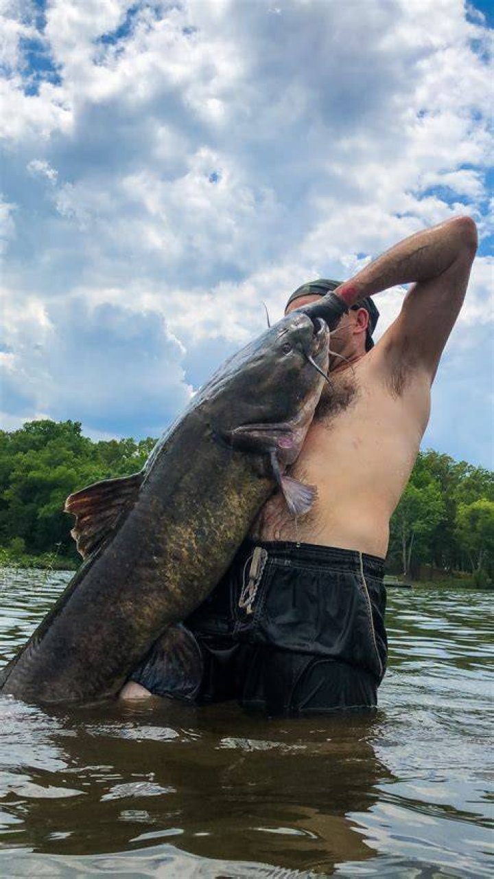 Noodling Catfish: The Ultimate Guide to This Unique Fishing Technique