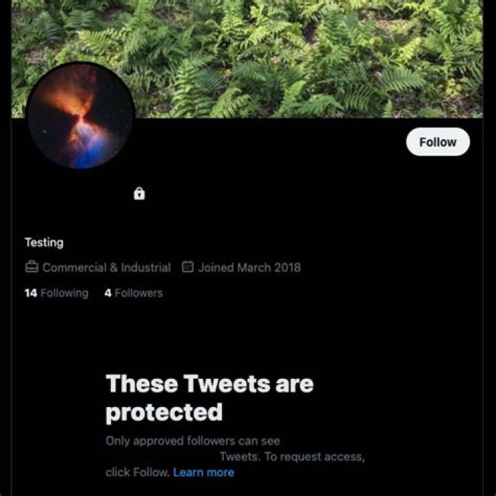 NSFW Twitter: A Guide to Understanding Its Impact and Culture in 2023