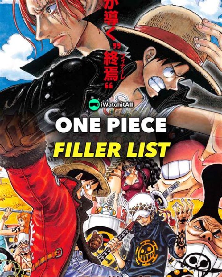 One Piece Episode Guide Filler: Complete Filler List for Fans