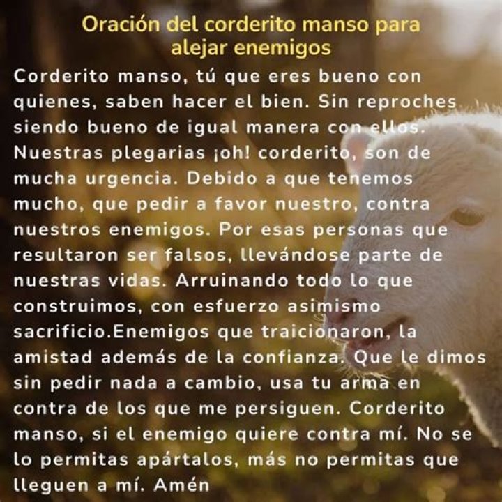 Oracion del Corderito Manso: A Spiritual Reflection for Peace and Serenity