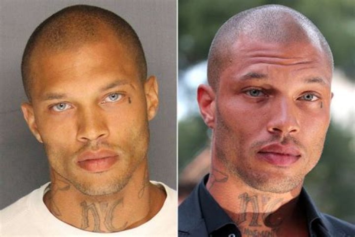 Paroled Felon Sent Back to Jail: Legal Challenges and Social Implications